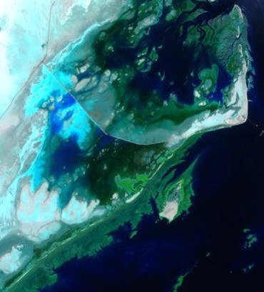 Oman mangrove site, natural-color